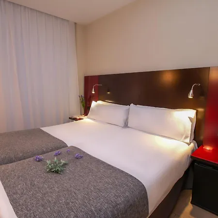 Hotel Sm Teatre Auditori