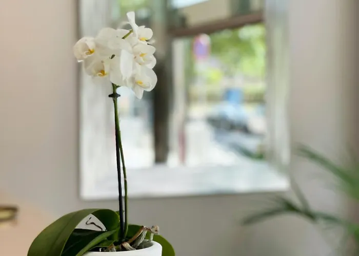 Sm Teatre Auditori מלון